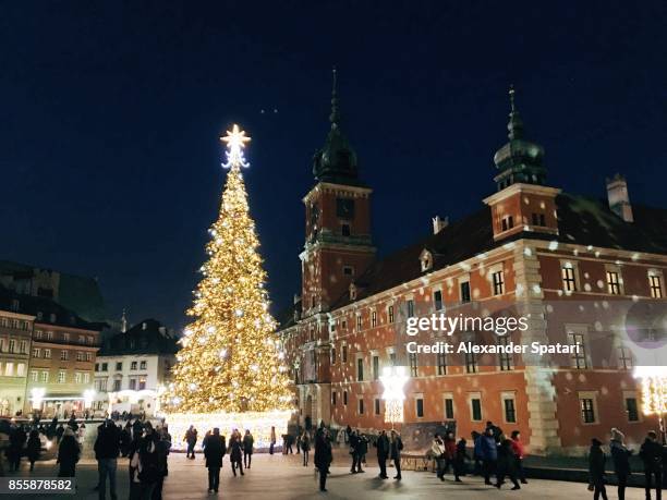 christmas tree on castle square in warsaw, poland - christmas poland stock pictures, royalty-free photos & images