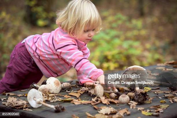 meisje parasol paddestoelen te verzamelen - toadstools stockfoto's en -beelden