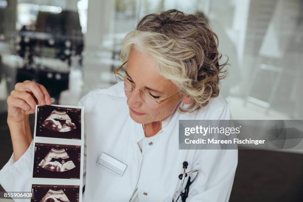 female gynaecologist looking at ultrasound pictures of fetus - 20 week foetus stock pictures, royalty-free photos & images