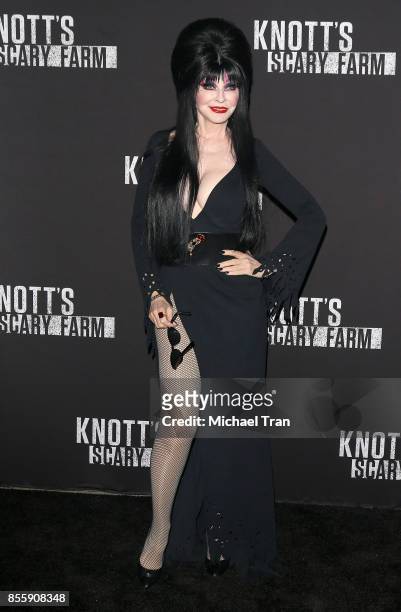 Cassandra Peterson aka Elvira: Mistress of the Dark arrives at Knott's Scary Farm and Instagram's Celebrity Night held at Knott's Berry Farm on...