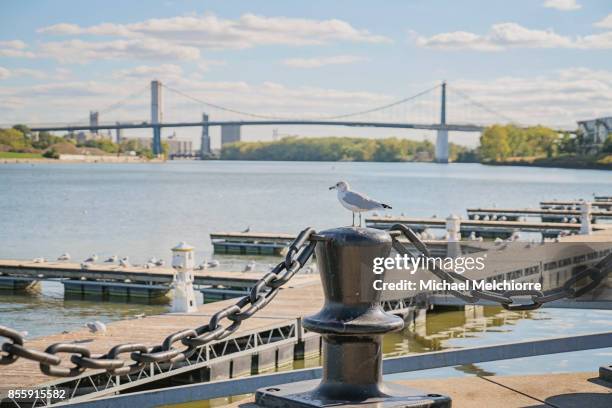 maumee river - toledo ohio stockfoto's en -beelden