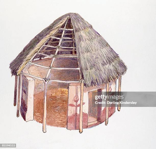 stockillustraties, clipart, cartoons en iconen met illustration of tswana house with thatched roof, botswana - thatched roof