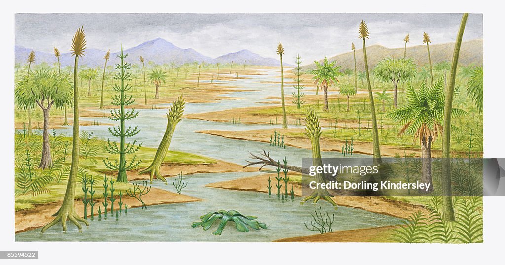 Illustration of New York 300 million years ago showing swamp, lush forest landscape, and mountains