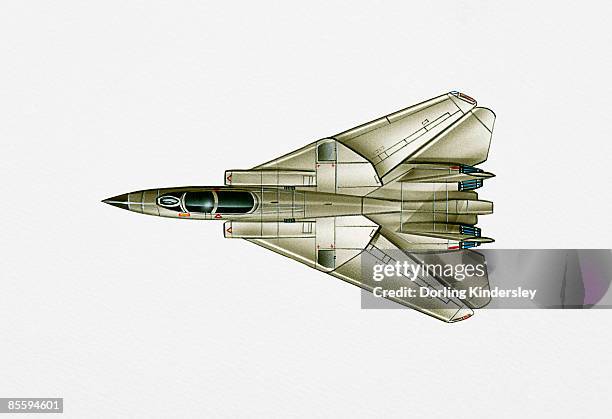 illustration of grumman f-14 tomcat with variable-sweep wings swept - f 14 tomcat stock illustrations