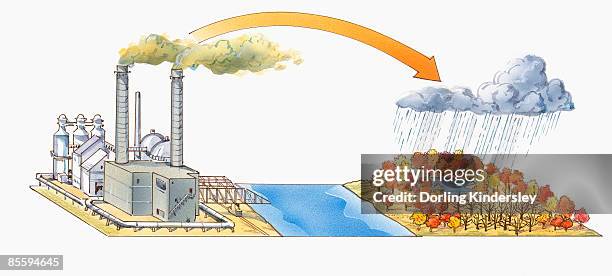 illustration of tall industrial smoke stack emitting sulfur smoke over river, and acid rain cloud over dead and dying trees surrounding lake - acid rain stock illustrations