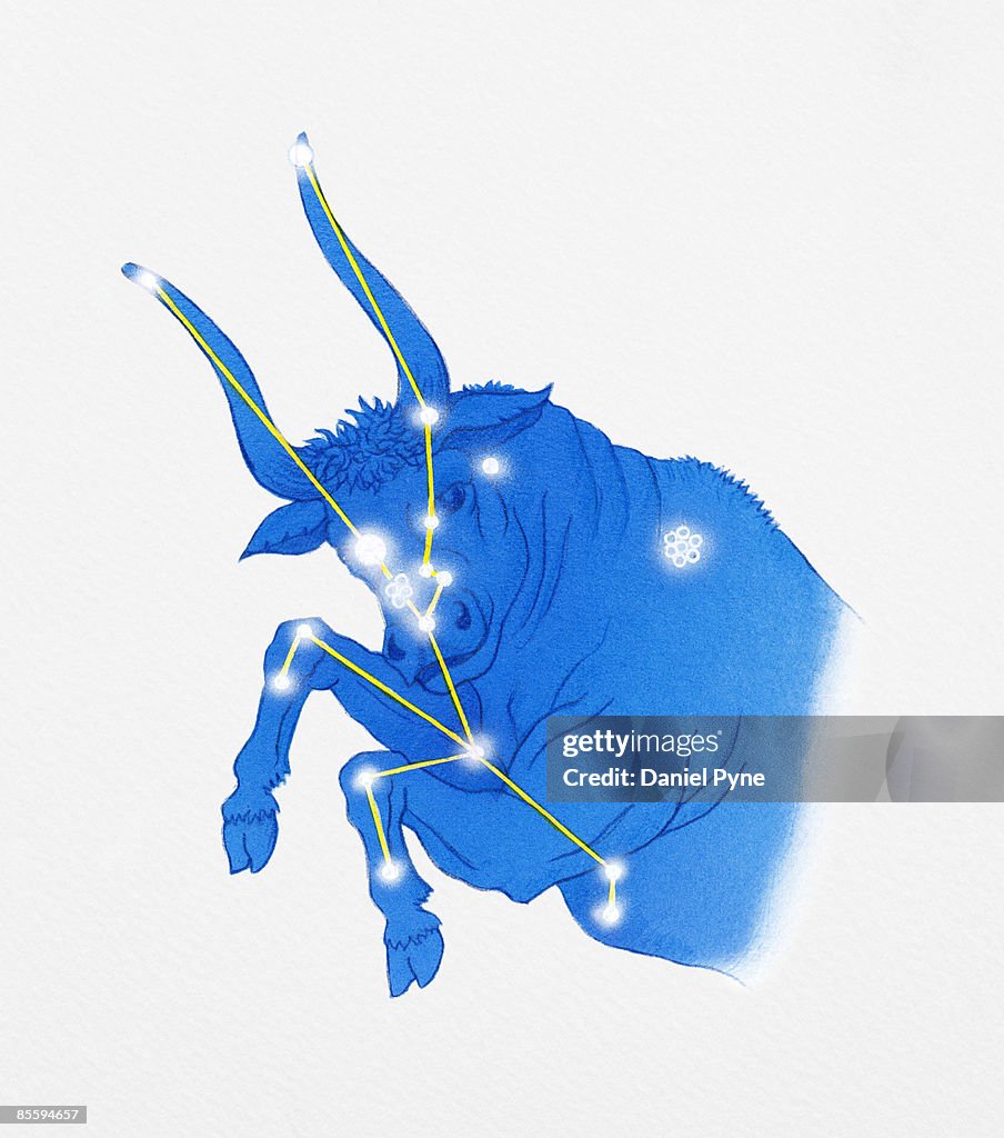 Illustration of Taurus star constellation also represented rearing bull