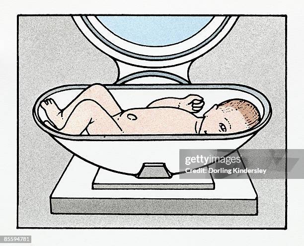illustration of baby on scales - baby lying on back stock illustrations