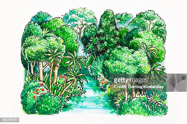 Illustration Of Of River In Tropical Rainforest High-Res Vector Graphic -  Getty Images