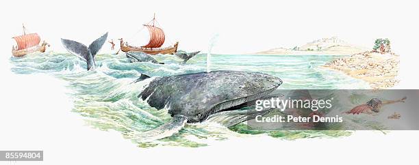 ilustraciones, imágenes clip art, dibujos animados e iconos de stock de illustration of prophet jonah swimming away from open mouth of large whale - hombres maduros