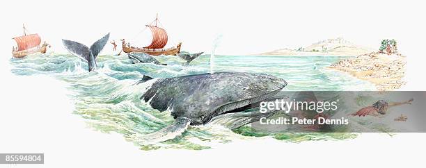 bildbanksillustrationer, clip art samt tecknat material och ikoner med illustration of prophet jonah swimming away from open mouth of large whale - medelålders män