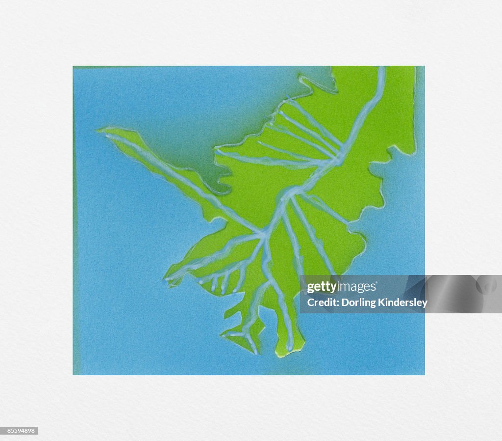 Illustration Of Pattern Formed By Streams Flowing From River Into Ocean ...