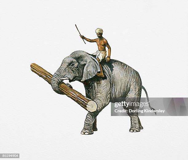 illustration of man holding stick sitting on top of indian elephant using trunk to carry log - indian elephant illustration stock illustrations