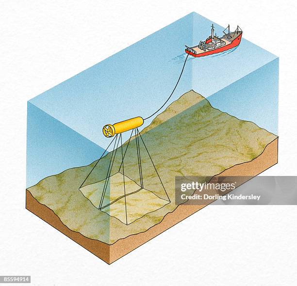 cross section illustration of sea and seabed with ship connected to underwater sidescan sonar towfish - meeresboden stock-grafiken, -clipart, -cartoons und -symbole