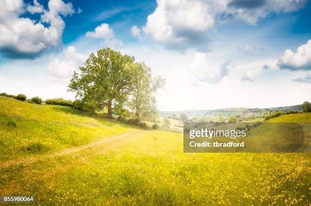 mooie landschapsmening in gloucestershire, engeland - rolling hills sun stockfoto's en -beelden