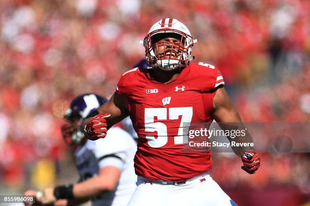 Alec James of the Wisconsin Badgers reacts to a sack during the third quarter of a game against the Northwestern Wildcats at Camp Randall Stadium on...