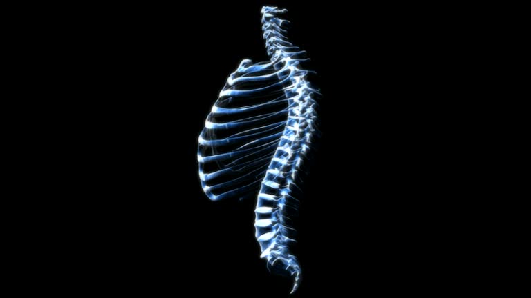 Vertebral Rptation With Rib Rotation 98 Rib Cage Stock Videos, Footage, & 4K Video Clips - Getty Images