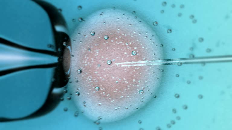 825 Ivf Videos and HD Footage - Getty Images 825 Ivf Videos and HD Footage - Getty Images