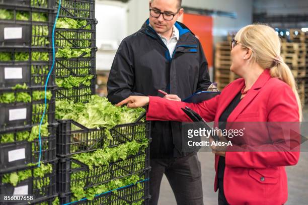 vegetales frescos en el almacén - food company manager fotografías e imágenes de stock