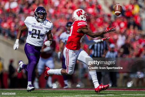 Wisconsin Badger wide receiver Quintez Cephus catches a ball over whiles Northwestern Wildcats safety Kyle Queiro cases him down durning an college...