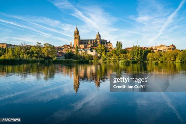 the cathedral in salamanca across the rio tormes. - salamanca fotografías e imágenes de stock