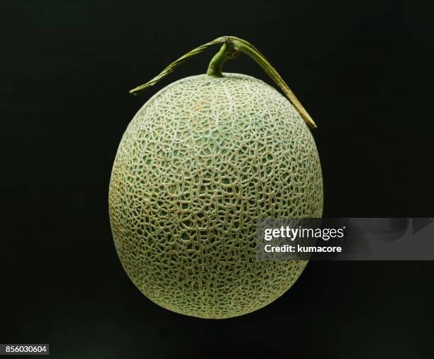 cantaloupe melon - melón de castilla fotografías e imágenes de stock