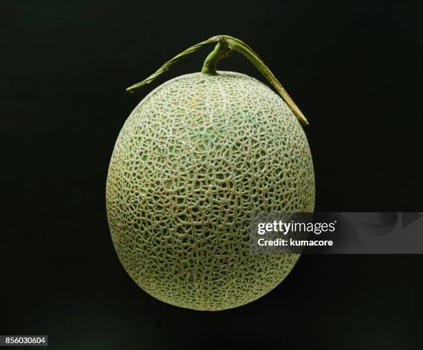 cantaloupe melon - melon stock pictures, royalty-free photos & images