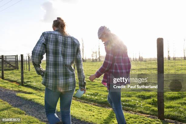 farm girls walking down a farm track with their backs to the viewer. - north island new zealand stock pictures, royalty-free photos & images