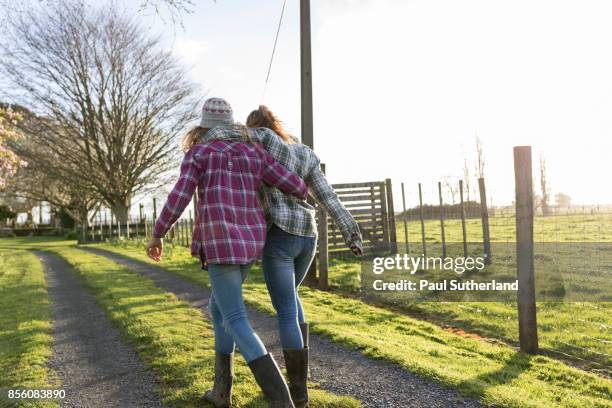 farm girls walking away from camera down a farm track. - matamata stock pictures, royalty-free photos & images