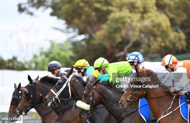 Hugh Bowman riding Lycurgus, Luke Nolen riding Hardham and Regan Bayliss riding So Belafonte and Craig Newitt riding Pablo's Express at barrier start...