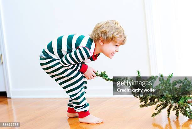 boy pulling christmas tree, side view - christmas stress stock pictures, royalty-free photos & images