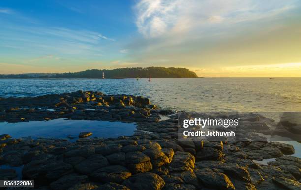 seascape in vietnam - morning in thach ky dieu tau, a wonder of quang ngai - quảng ngãi stock pictures, royalty-free photos & images