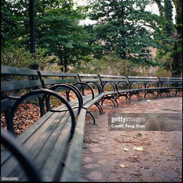High Bench Rows Row Of Benches Photos and Premium High Res Pictures - Getty Images