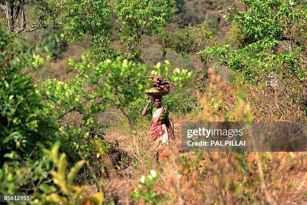 An Indian villager carries wood for fuel as she walks towards her home in the village of Purushwadi some 140 miles east of Mumbai on March 14, 2009....