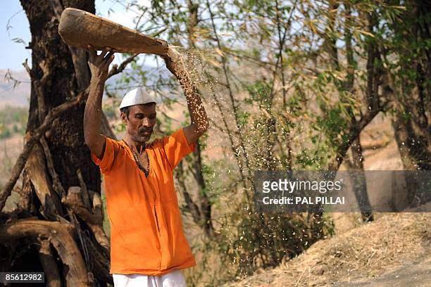 An Indian farmer works on his farm in the village of Purushwadi some 140 miles east of Mumbai on March 14, 2009. Inflation in India has dropped to...