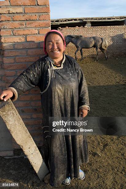 inner mongolian farm woman in grasslands - abagnar qi foto e immagini stock