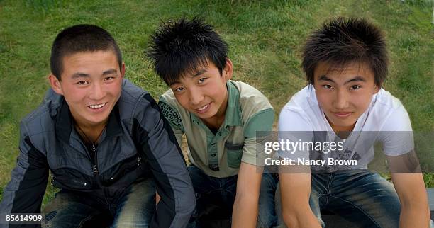 three inner mongolian teenage boys sitting in park - abagnar qi foto e immagini stock