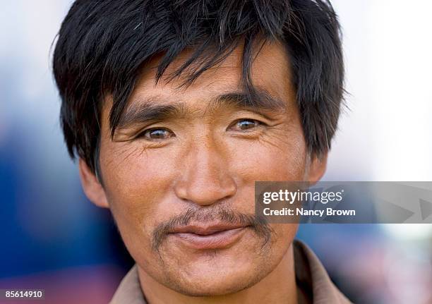 portrait of an inner mongolian man in grasslands - abagnar qi foto e immagini stock