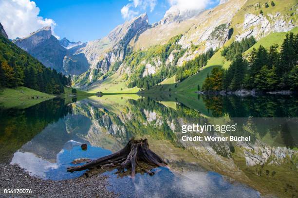 seealpsee in den schweizer bergen - lake alpsee stock pictures, royalty-free photos & images