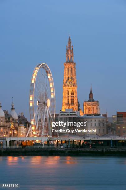 antwerp cathedral with ferris wheel - scheldt river stock pictures, royalty-free photos & images