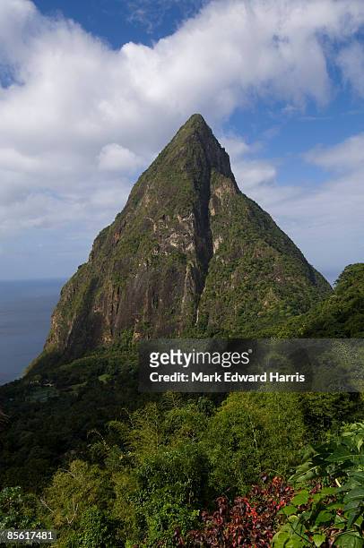 gros piton, st. lucia - lava tube stock pictures, royalty-free photos & images
