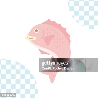 紅鯛魚向量圖 紅鯛魚向量圖