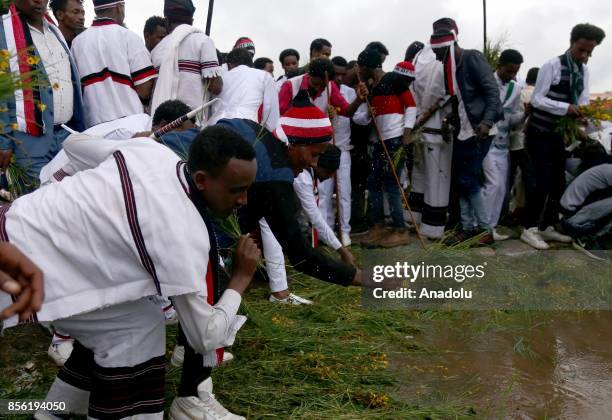 Ireecha 337 Irreecha Stock Photos, High-Res Pictures, and Images - Getty Images