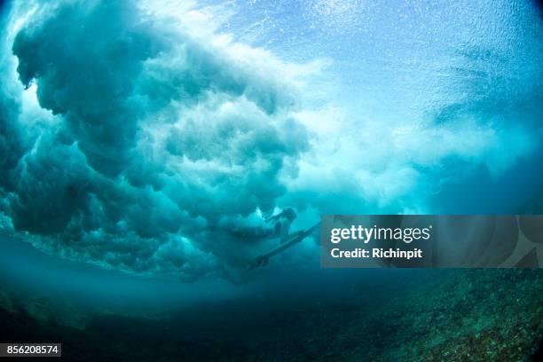 coming up from the clouds - duck dive stock pictures, royalty-free photos & images