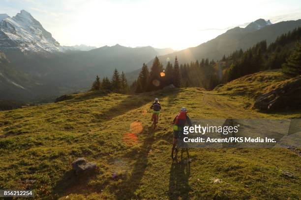 mountain bikers descend alpine meadow slope, mountains - shorts down stock pictures, royalty-free photos & images