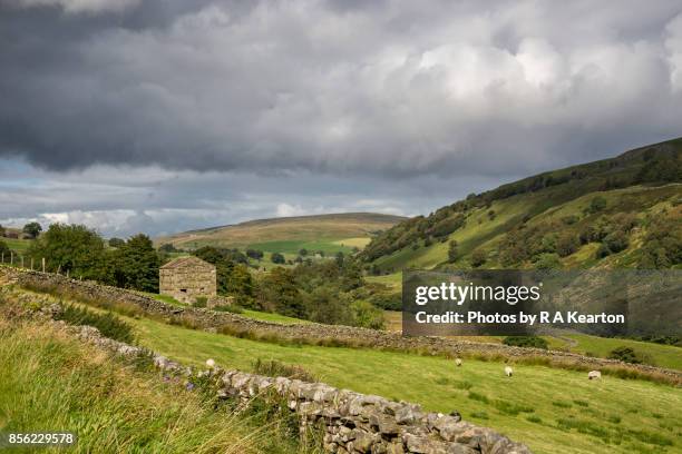 countryside near keld in upper swaledale, yorkshire dales, england - pennines stock-fotos und bilder
