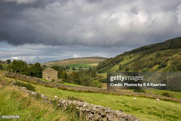 countryside near keld in upper swaledale, yorkshire dales, england - pennines stockfoto's en -beelden