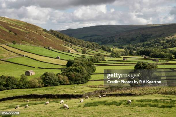 english countryside in upper swaledale, yorkshire dales - yorkshire dales national park stock pictures, royalty-free photos & images