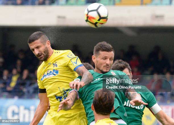 Alessandro Gamberini of AC Chievo Verona battles for an aerial ball with Cyril Thereau of ACF Fiorentina during the Serie A match between AC Chievo...