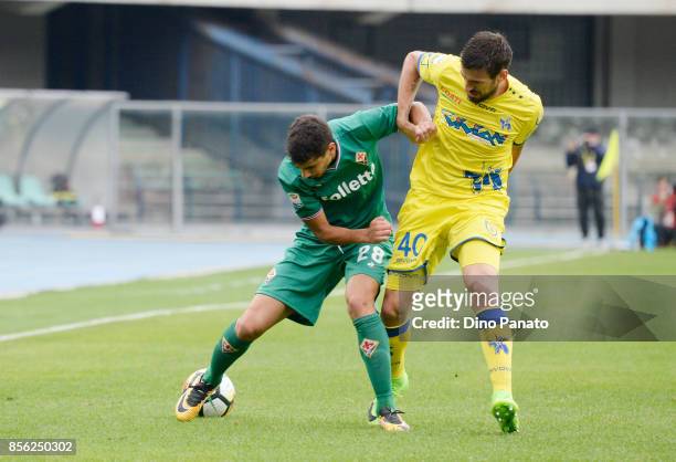 Nenad Tomovic of AC Chievo Verona competes with Gil Bastiaao Dias of ACF Fiorentina during the Serie A match between AC Chievo Verona and ACF...