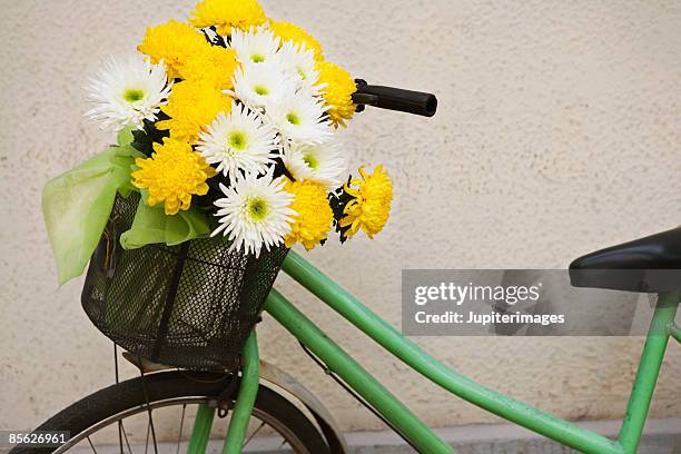 flowers in bicycle basket - chrysanthemum stock pictures, royalty-free photos & images